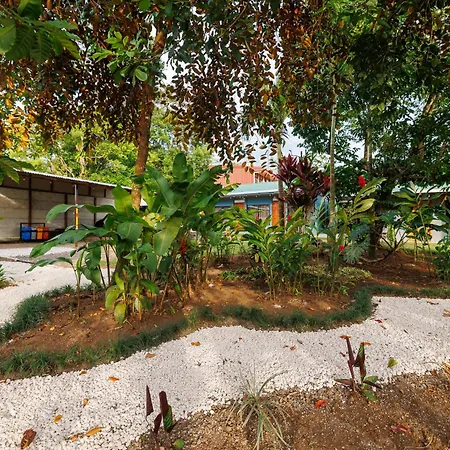 Rio Celeste Dreams